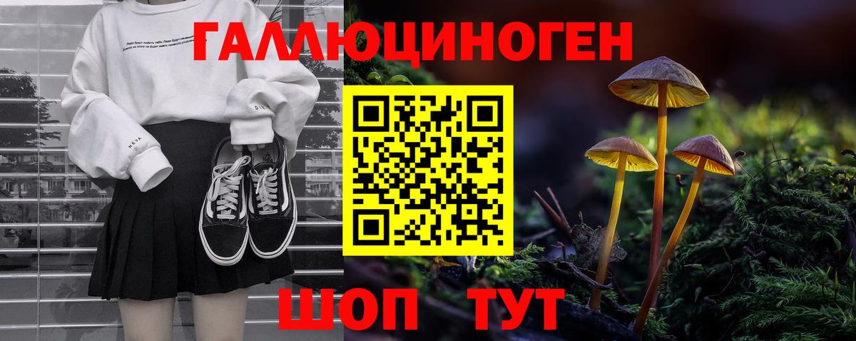 Псилоцибиновые грибы мухоморы  купить закладку  Осинники  Псилоцибиновые грибы мухоморы  Вход с VPN 