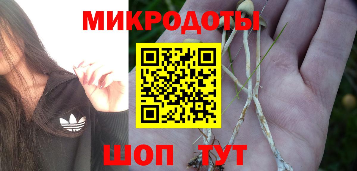 Псилоцибиновые грибы GOLDEN TEACHER Осинники